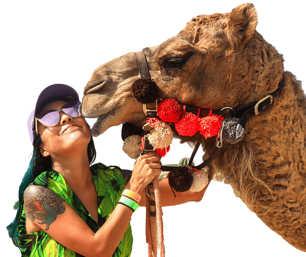 Camel Ride Cabo San Lucas Mexico Travel Agent-Fun Cruises